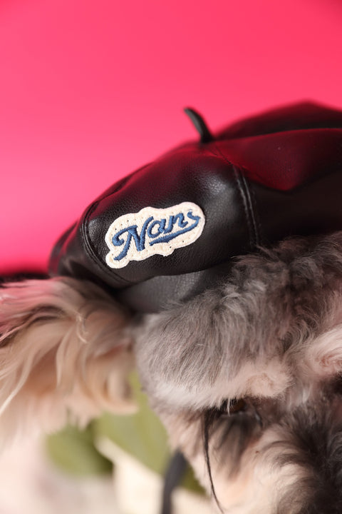 Dog Accessories Photo Concave Shape Pumpkin Hat